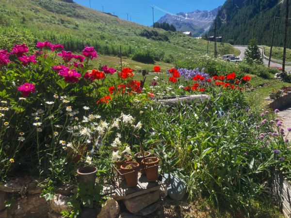 Chalet soleniou - le jardin fleuri